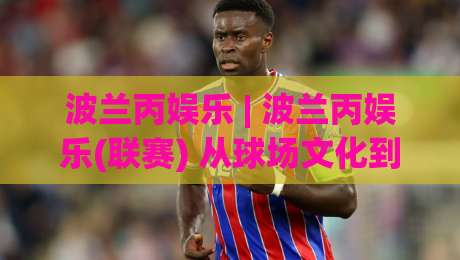 波兰丙娱乐 | 波兰丙娱乐(联赛) 从球场文化到社群狂欢的沉浸式体验-今日最新外围让球网降盘APP网址球盘平台赛后回放