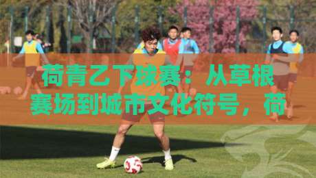 荷青乙下球赛：从草根赛场到城市文化符号，荷青乙下球赛为何越来越有看头？-最全手机信誉堵球网视频半全场动画水位精彩片段流畅