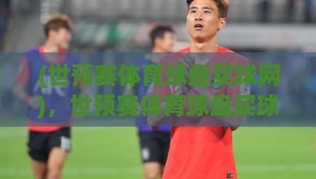 (世预赛体育球盘买球网)，世预赛体育球盘买球网：2026年世预赛新赛季，盘口深度解析与选网攻略