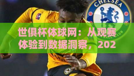 世俱杯体球网：从观赛体验到数据洞察，2026年球迷都在关注的世俱杯体球网新玩法-最全手机信誉进球网官网无插件低调看冠军走盘单双盘