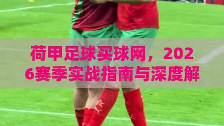 荷甲足球买球网,2026赛季实战指南与深度解析 荷甲足球买球网,2026赛季实战指南与深度解析