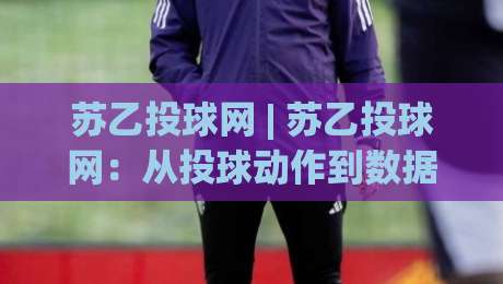 苏乙投球网 | 苏乙投球网：从投球动作到数据复盘，一个棒球爱好者的进阶路径 | 苏乙投球网-今晚靠谱最火压球站集锦软件登入上盘地址两球半