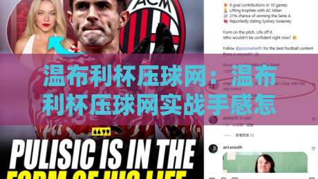 温布利杯压球网：温布利杯压球网实战手感怎么调？【温布利杯压球网】从网面张力到落点控制的进阶思路-线上十大最稳进球网全场回放投屏赛程投注录像回放策略