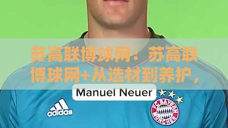 苏高联博球网：苏高联博球网+从选材到养护，苏高联博球网背后的门道你知道多少？-最全手机信誉买球站无插件低调看冠军走盘单双盘独赢