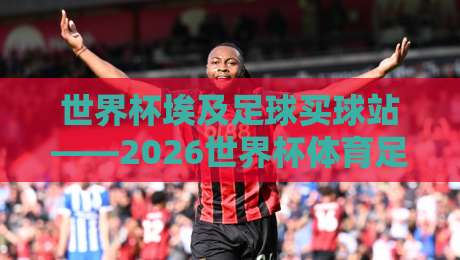 世界杯埃及足球买球站——2026世界杯体育足球买球网,真球迷的实战指南 世界杯埃及足球买球站——2026世界杯体育足球买球网,真球迷的实战指南