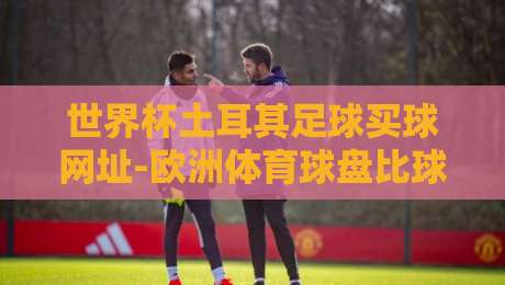 世界杯土耳其足球买球网址-欧洲体育球盘比球:2026年球迷必读的三大安全指南 世界杯土耳其足球买球网址-欧洲体育球盘比球:2026年球迷必读的三大安全指南