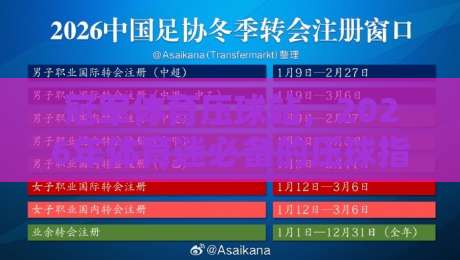 冠军体育压球站,2026年体育迷必备的压球指南 冠军体育压球站,2026年体育迷必备的压球指南