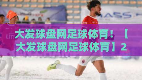大发球盘网足球体育！【大发球盘网足球体育】2026年最实用的投注策略与避坑指南