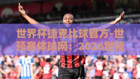 世界杯捷克比球官方-世预赛体球网：2026世预赛捷克队赛程与实战攻略