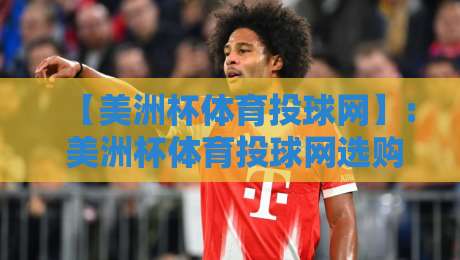 【美洲杯体育投球网】: 美洲杯体育投球网选购指南与2026实战评测