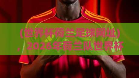(世界杯荷兰足球网址)，2026年荷兰队世界杯备战全攻略