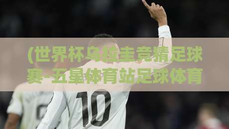 (世界杯乌拉圭竞猜足球赛-五星体育站足球体育)？2026年观赛与竞猜全攻略【世界杯乌拉圭竞猜足球赛-五星体育站足球体育】干货分享