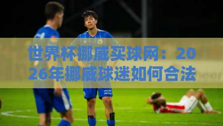 世界杯挪威买球网：2026年挪威球迷如何合法参与竞猜？
