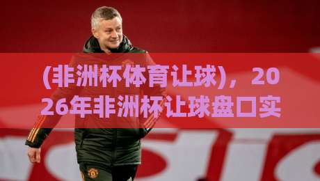 (非洲杯体育让球)，2026年非洲杯让球盘口实战攻略（非洲杯体育让球）