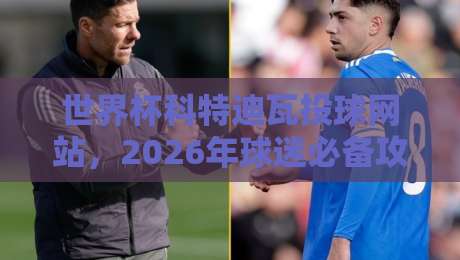 世界杯科特迪瓦投球网站，2026年球迷必备攻略！