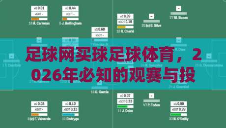足球网买球足球体育，2026年必知的观赛与投注新玩法