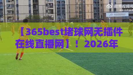【365best堵球网无插件在线直播网】!2026年足球迷必备的无插件直播平台,到底好在哪? 【365best堵球网无插件在线直播网】!2026年足球迷必备的无插件直播平台,到底好在哪?