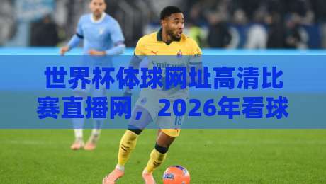 世界杯体球网址高清比赛直播网，2026年看球首选平台深度测评