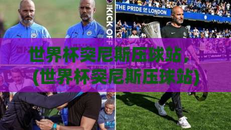 世界杯突尼斯压球站， (世界杯突尼斯压球站) 2026年最新实战攻略！