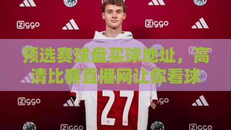 预选赛球盘买球地址，高清比赛直播网让你看球无忧（2026指南）